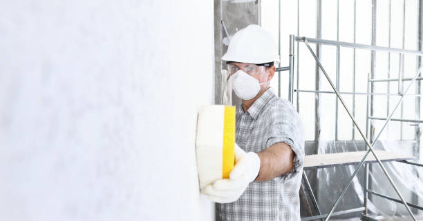 Best Mold Damage Restoration in USA